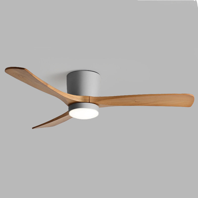 Lumisaxon | One Bedroom Electric Fan Pendant Lamp