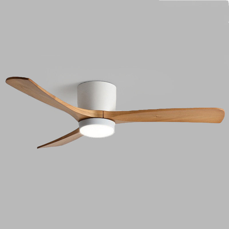 Lumisaxon | One Bedroom Electric Fan Pendant Lamp